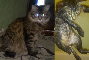 До и после душа