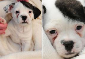 Забавные совпадения