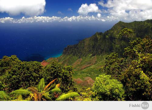 Фотография "Пляж Napali, Гавайи, США" просто умопомрачительная! Нагуглил еще фоток этого места - красотища: