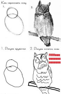 И это, бл..дь, фотоинструкция?!