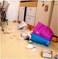 найди кото! ))) и накажи!