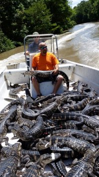 У мужика стальные яйца! :)