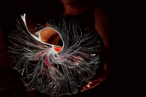 Помойму - это одно и тоже.