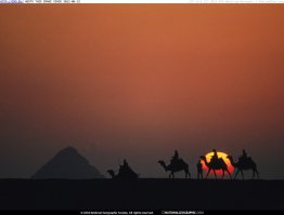 «Застывшие» в мёде образы, напоминающие восковые фигуры