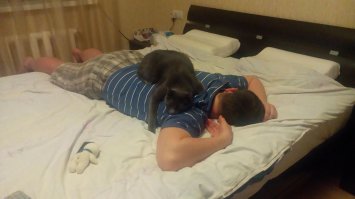 Мой кот мне не разрешает пока!