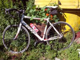 а это мой дикий аппарат)))