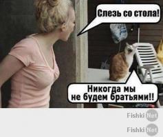 В Мариуполе снайперы-партизаны убили ещё одного америкашку.