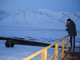 55 отчаянных фотографов, готовых на все ради удачного кадра