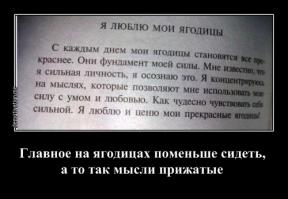 Маразмы месяца