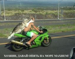 Автоприколы