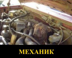 Если бы собаки работали в офисе