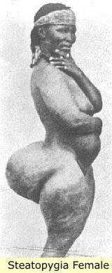 Ничто не ново под луной...
 "В 1804 году натуралисты Перон и Лессер прибыли в Южную Африку проводить исследования здешних готтентотских племен в районе мыса Доброй Надежды. В своих дневниках они описали особенность, которой обладали местные женщины – фантастическая гипертрофия ягодиц – до двух метров в обхвате. Эта аномалия известна сегодня среди специалистов как стеатопигия, или "готтентотские ягодицы". Но… чем ярче была выражена эта особенность, тем большей популярностью такая женщина пользовалась у тамошних мужчин".