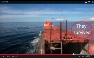 птички выжили, написали же:)