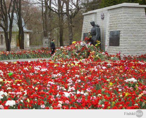 Это в  прошлом  году в Таллине было