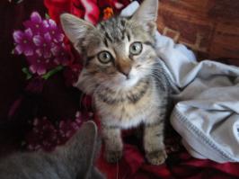 А эта отправится на другой конец страны в новый дом )))