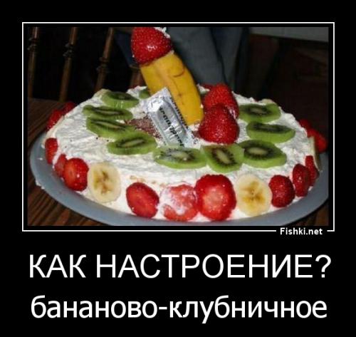 Фишкина солянка за 28.05.2014 
