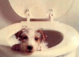 А раньше там жил он.