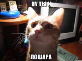 Алла Аитова вернула 8 миллионов рублей забывчивому пассажиру поезда