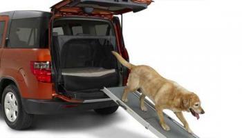 У хонды элемент опция была целая
И даже трап выдвижной!!!!