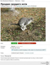 Смешные объявления на Авито