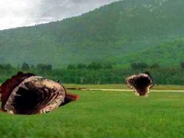 Это всё происки лангольеров...