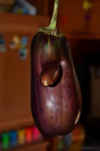 Фотоприколы