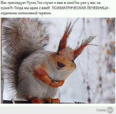 Солянка для Майдана. Часть 19