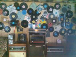 Увлеченные коллекционеры виниловых пластинок 