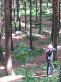 Гы... Лучницы...
Наши девчонки, по настоящему стреляющие из луков, значительно динамичнее. А главное - попадают :)