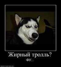 Интернет бойцы в реальной жизни