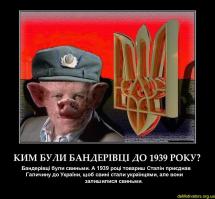 В Мариуполе снайперы-партизаны убили ещё одного америкашку.