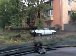а этому не так повезло...