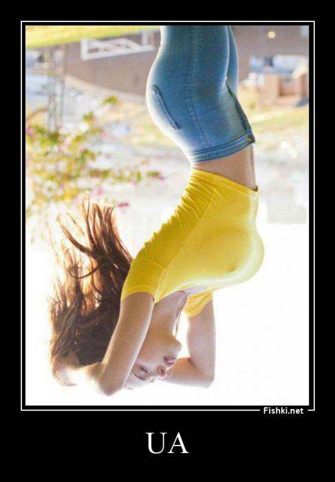 Фишкина солянка за 08.04.2014 