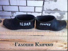 Солянка для Майдана. Часть 51