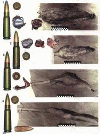 "Цветы смерти"...