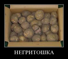 Антошка пойдём копать...