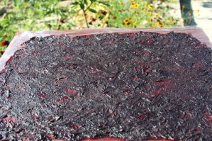 сладкий Пол