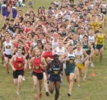 По ходу пипец негру))