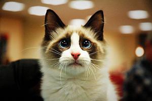 Мужской vs женский день