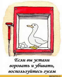На Харьковщине женщина избила женщину ГУСЯМИ по лицу