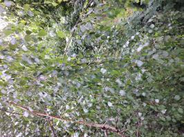 А из нашего окна плащадь Красная видна .....