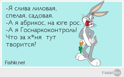 Фишкина солянка за 04.04.2014 