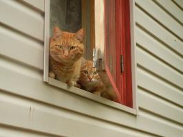 Тёзка опередил с замечанием