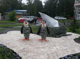 Символ уральского лета появился на одном из газонов Ёбурга!