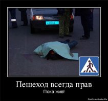 Наши автошколы, не оставили препятствий между мудаками и рулем, и полчища мудаков обрущиваются на наши многострадальные дороги.

Но!!
Это не значит что нужно бросаться под колеса проезжающим мимо машинам с мудаками, возле синих квадратиков с белым треугольником, т.к. они бессмертия еще некому не дали. Наслушаются баек, что их видите ли должны пропускать. Пешеход должен знать только одно правило его жизнь и здоровье зависит только от него самого и от его внимательности.