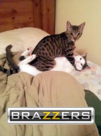 Все профессии важны, все профессии нужны