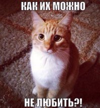 Двойное счастье со стройки