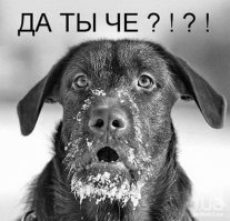 Скорость приезда пожарников в американской субурбии