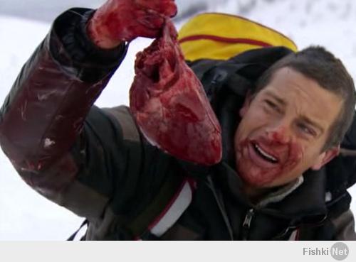 Немецкий турист три недели питался насекомыми