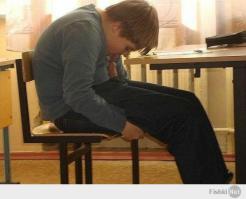 Собака-подляка